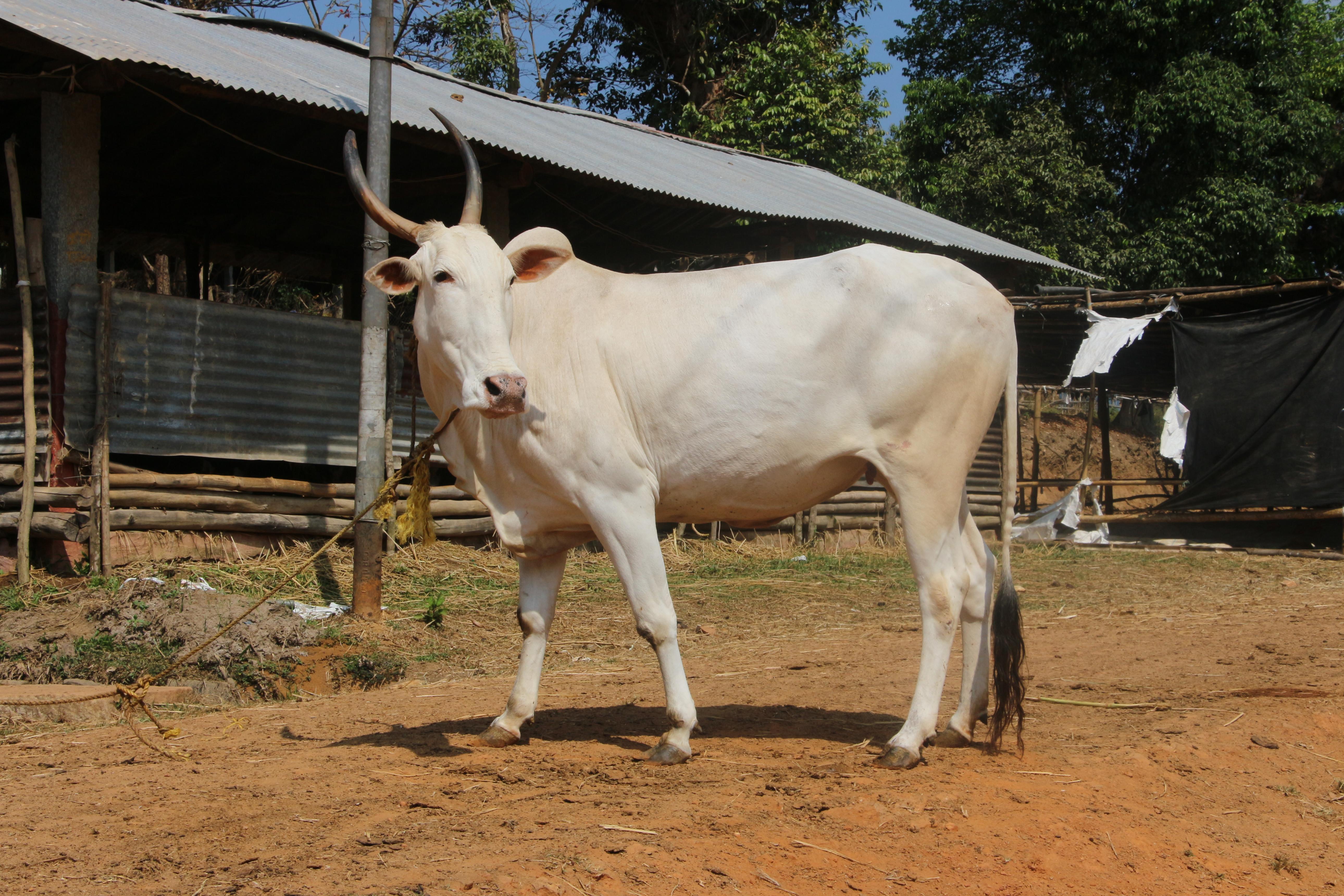Organic Farming Workshop